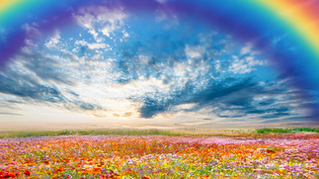 Regenboog