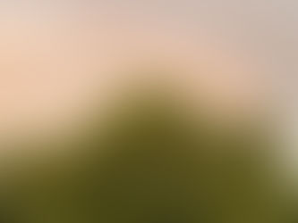 Bizim Edilgen Mutsuzluğumuz