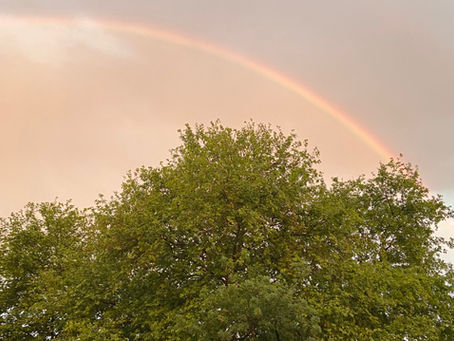 Bizim Edilgen Mutsuzluğumuz