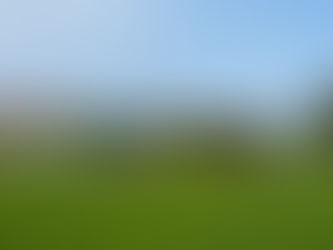 From Busy Streets to Lush Rice Fields: Vietnam