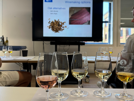 WSET Level 2 Şarap Eğitimi: İçmekten Anlamaya