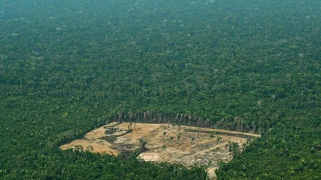 8 - MEIO AMBIENTE.jpg