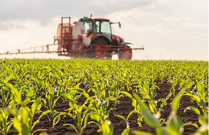 foto 14 - agronegocio.jpg