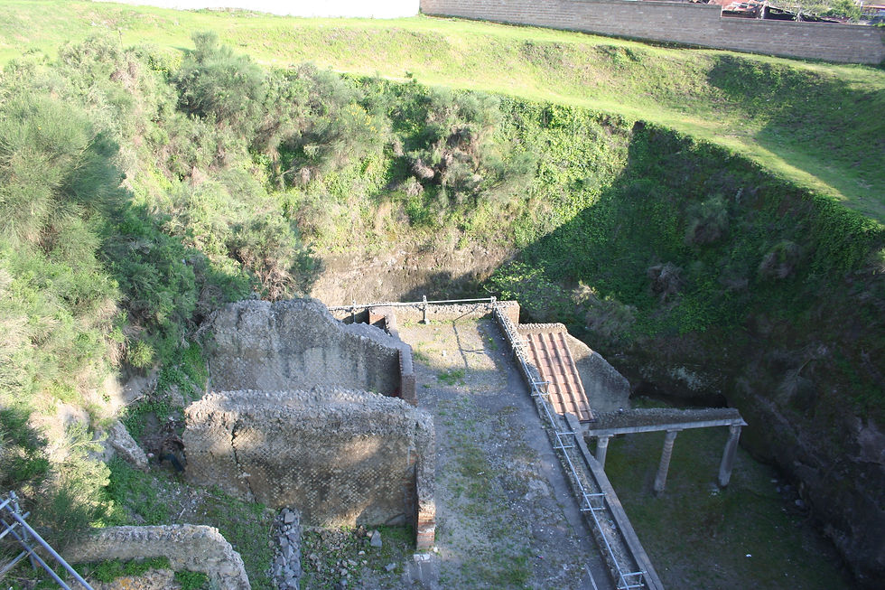 IMG_7950.JPG