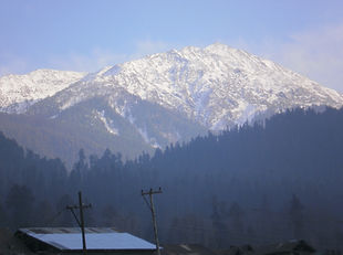 PC160371.JPG