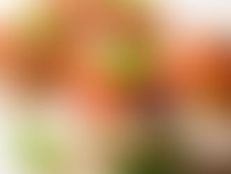 Appetizers for your dinner party