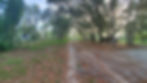 Harris Establishment, Gravel Driveway