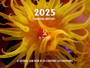 Be The Earth Foundation: 2025 Annual Report