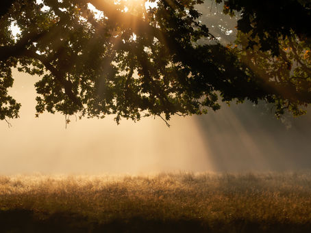 Shared Ground: Space to Think, Connect and Lead Differently