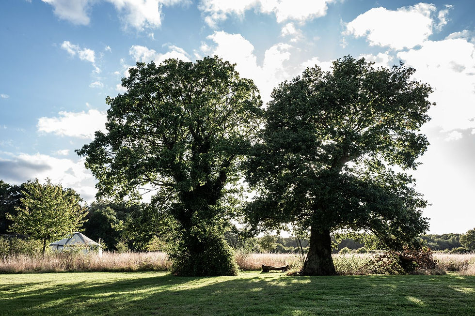 Becoming The Ancestors We Needed: A Land Story at 42 Acres