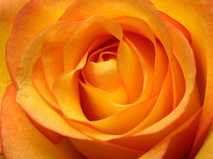 Nomalady Xujwa: “When You Empower a Mother, You Empower Her Children Too”