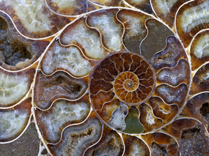 “There Are Stories I Will Never Forget” — Renata Laurentino on Aura’s Transformative Power