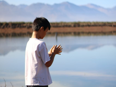 The Land as Teacher: Our First Teen Programme