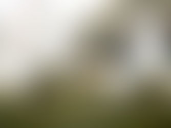 Reflections on Listening to the Land Retreat