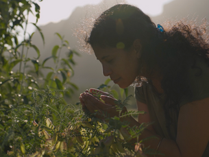 Systemic Change Will Not Be Transactional