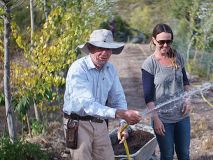 The Rise of Syntropic Farming: Lessons from Karen de Vries, La Loma Viva