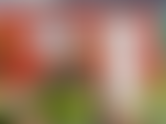 "I Realised I Was Going to Break That Curse" – Meliny Swartz on Her Transformative Aura Experience