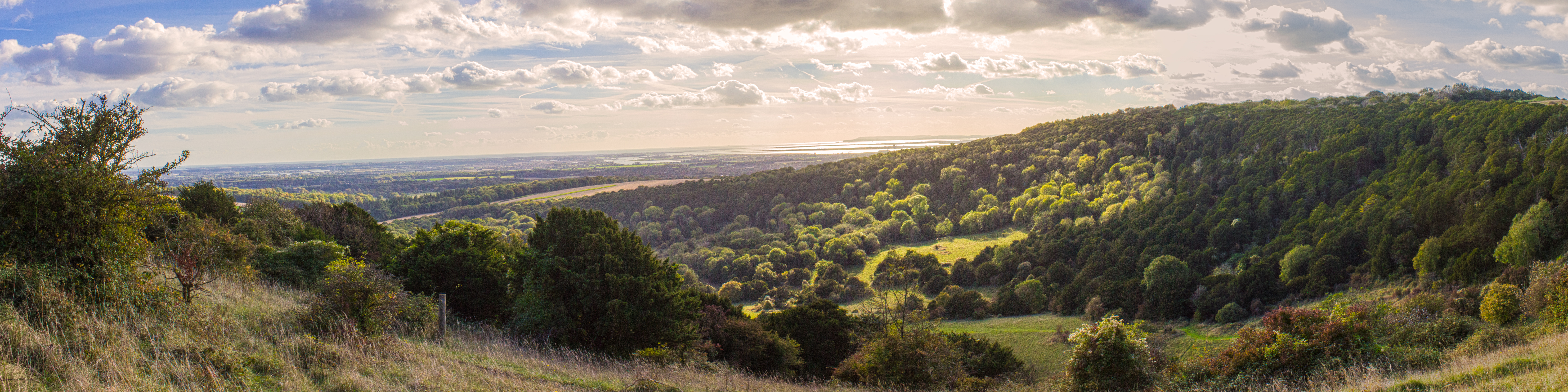 Kingley Vale