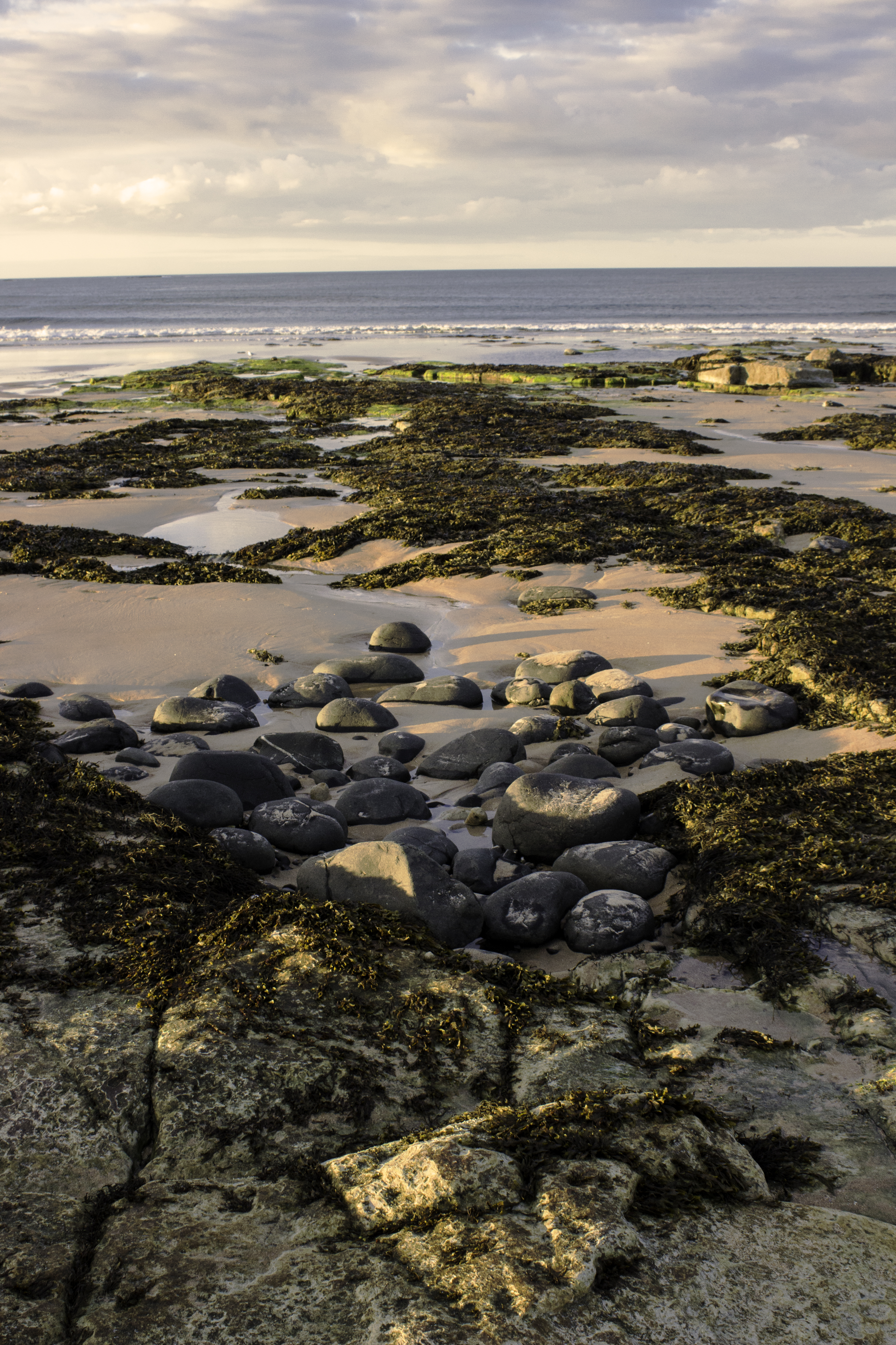 Dunstaburgh beach