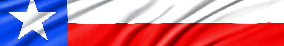 My-tech-texas-strip-curtain-dallas-houston