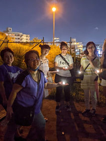 Okinawa Step Up Walk