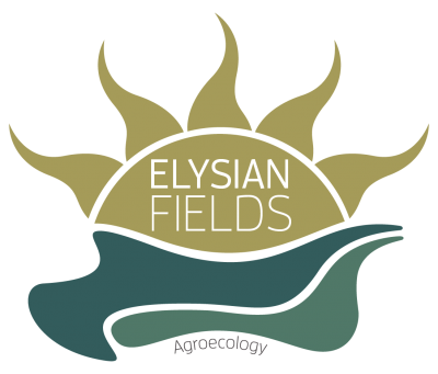 Member Spotlight: Elysian Fields