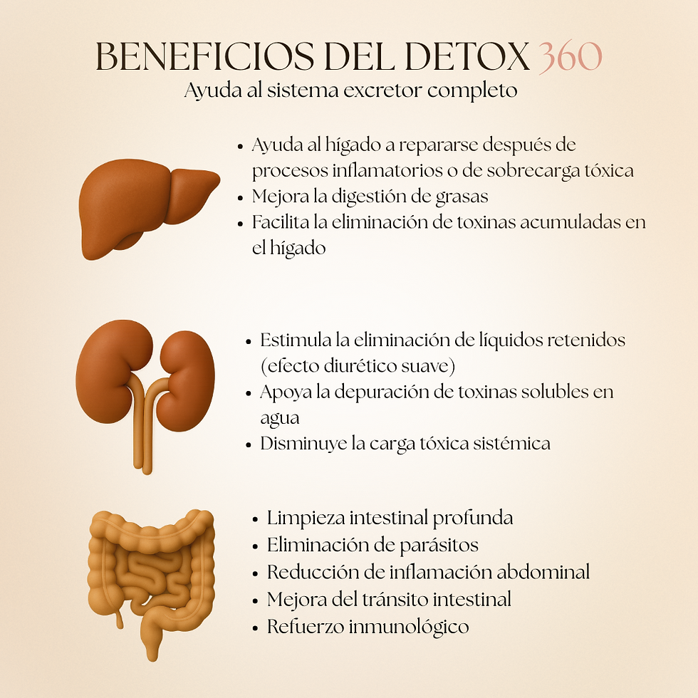 Miniatura: Fibra +Soothecore + Détox 360
