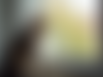 Understanding the Traits of Friendly and Loyal Cats