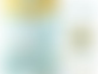 ポスト織部の時代 2024年10月5日(土)~2025年1月26日(日) 土岐市美濃焼伝統産業会館 第一展示室