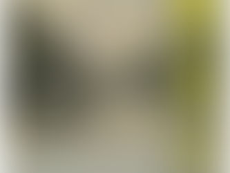 多治見市文化財保護センター企画展　陶器商の蔵　2025.1/27(月)-6/20(金)