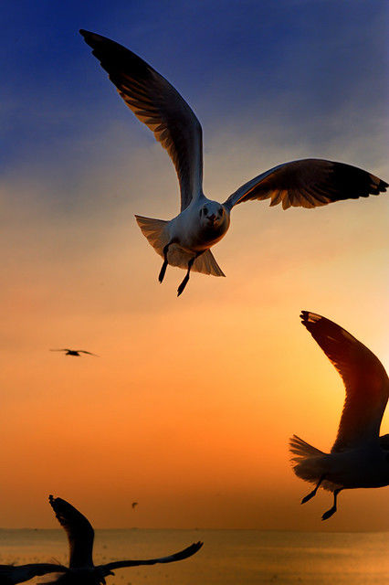 ภาพขนาดย่อ: กรุงเทพ เที่ยว สถานตากอากาศบางปู