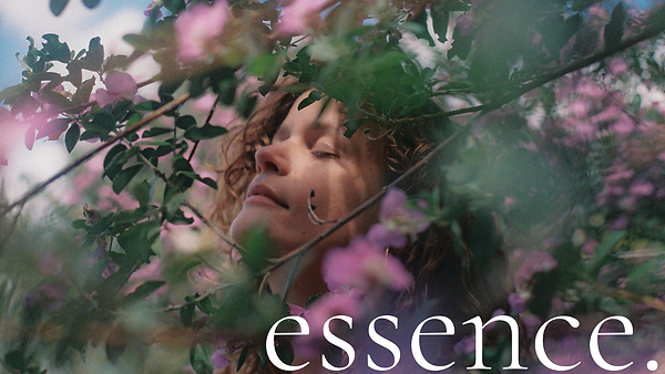 essence (3).png