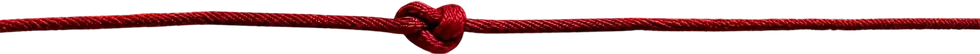 Lavoriamo Insieme.png