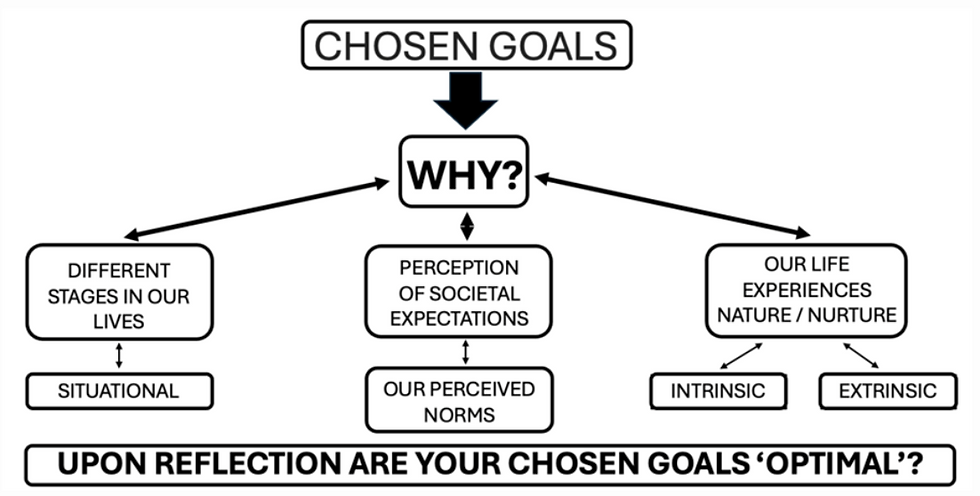 Flowchart addresses why goals are chosen, exploring life stages, societal norms, and experiences. Text: "UPON REFLECTION ARE YOUR CHOSEN GOALS 'OPTIMAL'?"