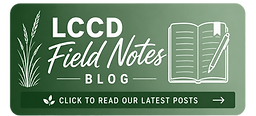 Field Notes Blog Logo_edited.png