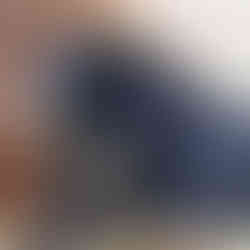 Black Bear in East Wakefield NH