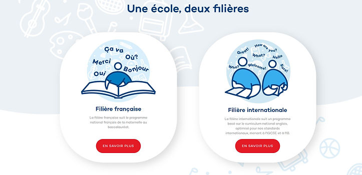 FIS homepage 3-FR.JPG