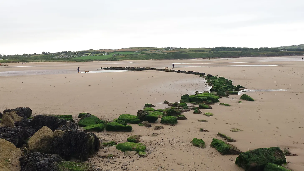 Remains of a medieval fish weir just above the low water mark at Traeth Lligwy, Anglesey