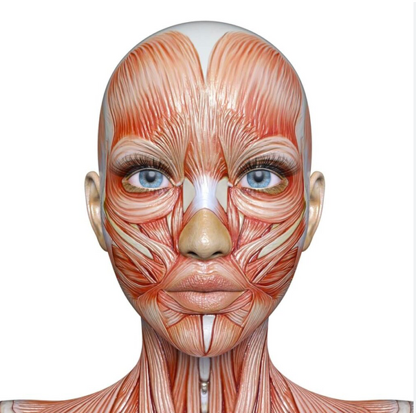 Anatomy and physiology