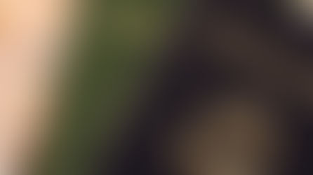 Apertura de nuevos Centros de Recogida de Visados en China