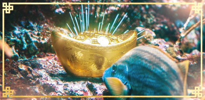 S.E.A Aquarium