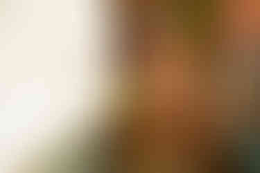 Neptune, Commercial F&B, 237 East Coast Road, Singapore 428930, green mosaic tiles warm wood service counter plant orange bar counter, Corridor Walkway, Interior Design Build Renovation Construction by HW Homeworks Consultancy