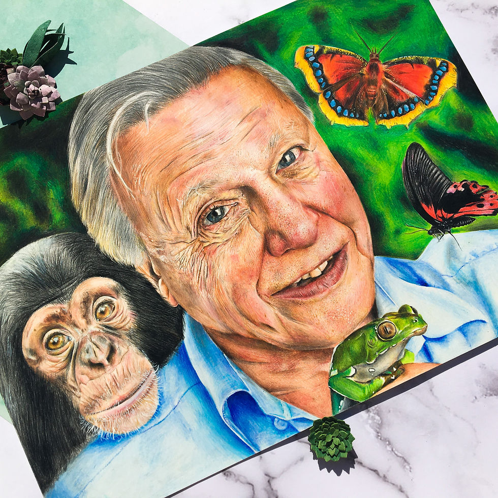 David Attenborough portrait, surrounded by animals