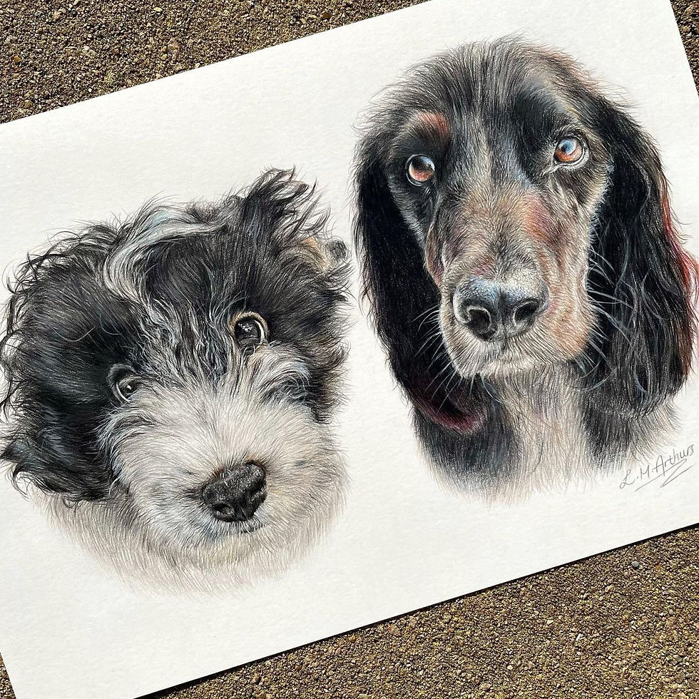 Pair of dogs portrait