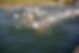 468305968_1012746254198965_4165207950668395594_n.jpg