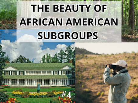#5 Central Carolina Piedmont African Americans