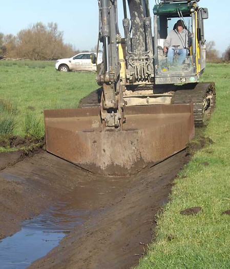 Ely wildfowlers conservation