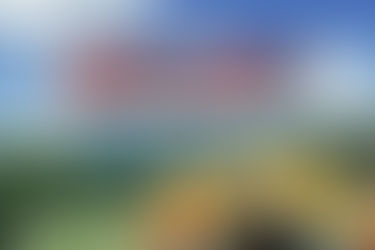 新たに飲むその日(マルコ14:22-26) 20250817