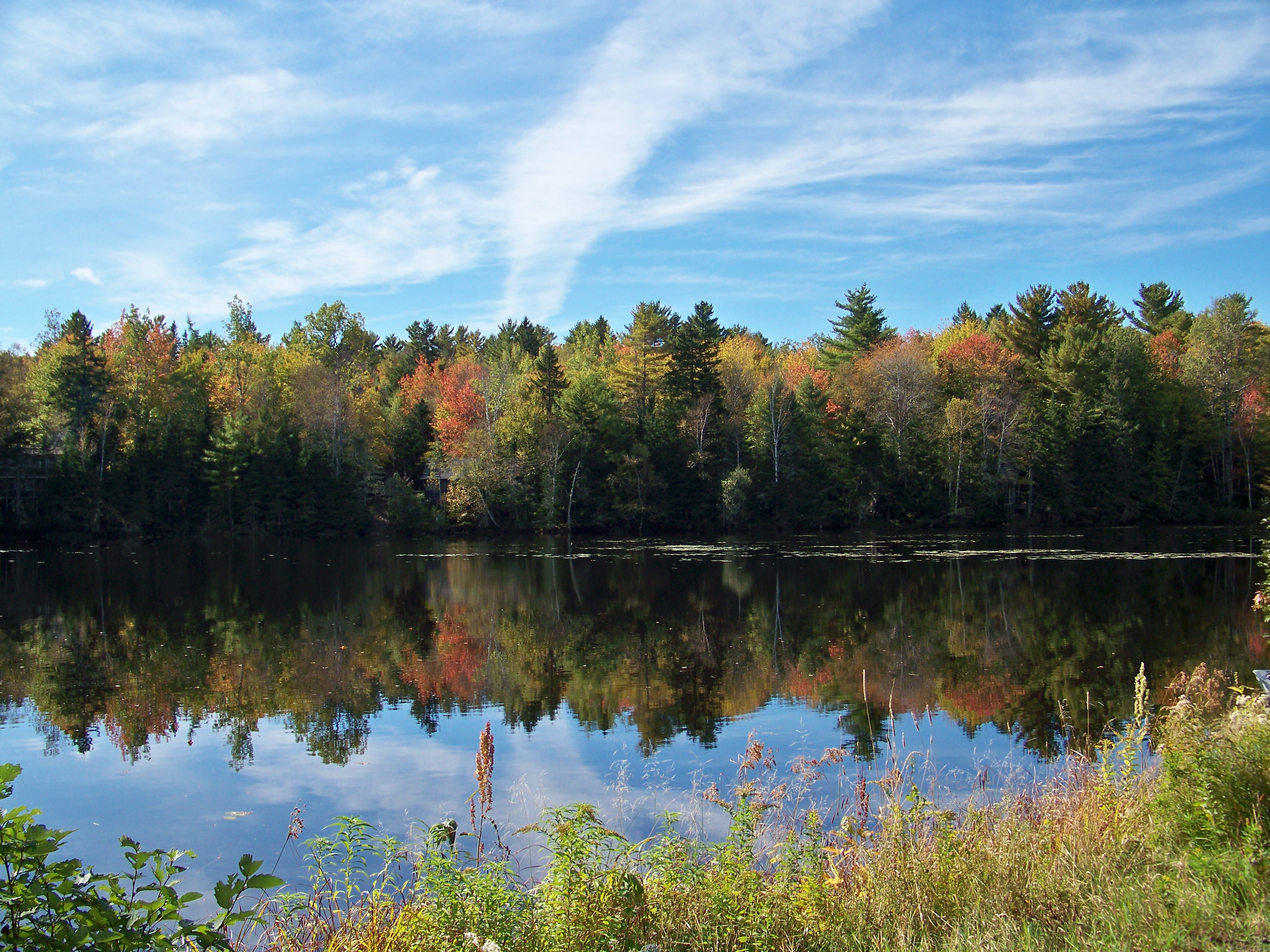 Robinson's pond