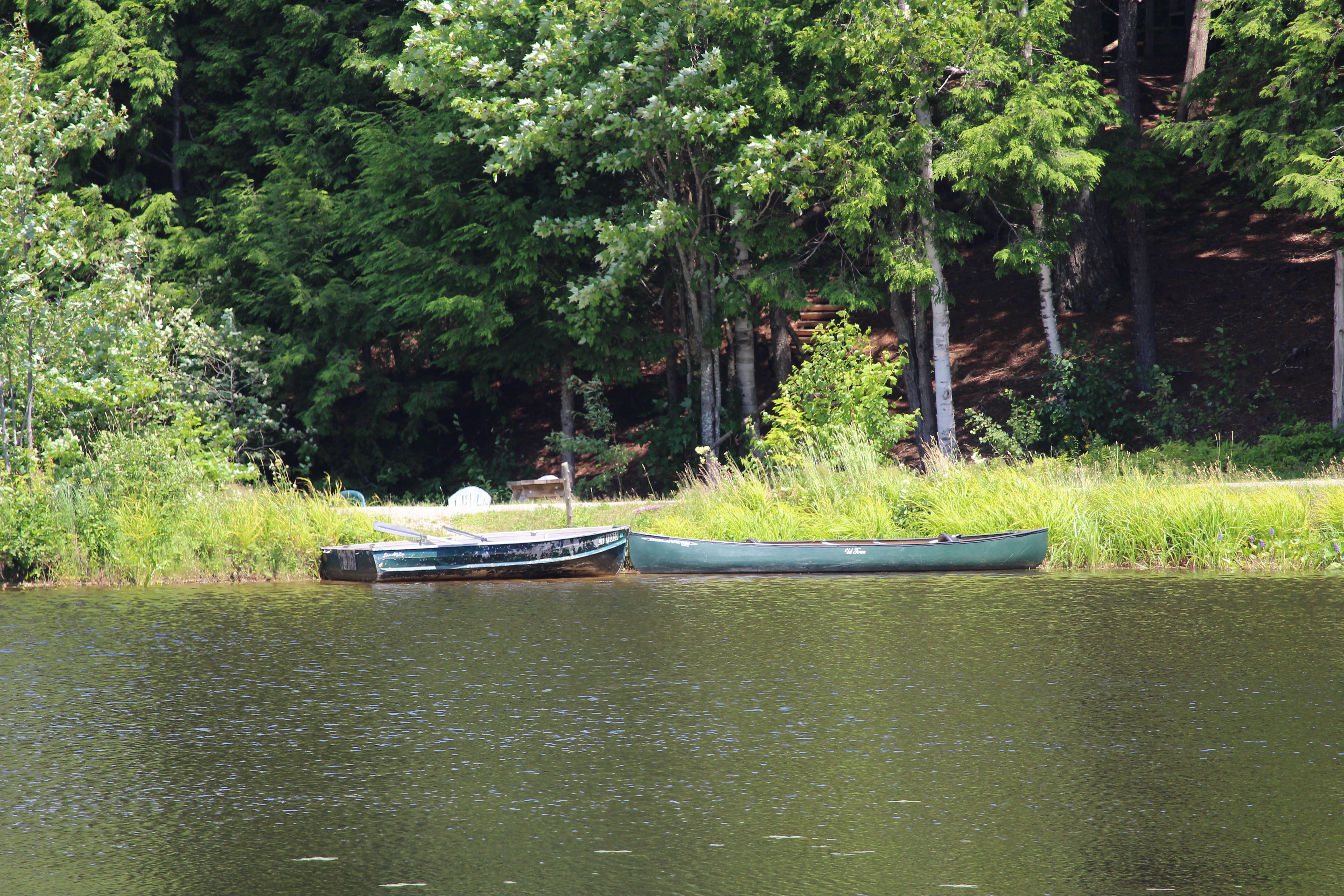 Canoes on the pond
